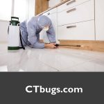 CTbugs.com